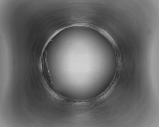 X0000113640908200909251238