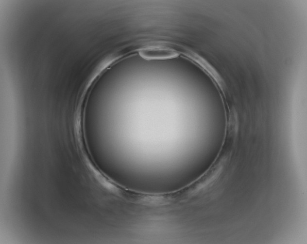 X0000113640909200909251238