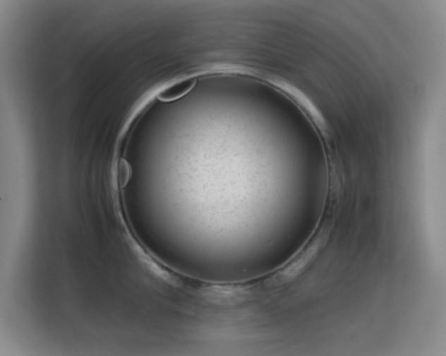 X0000113640910200909251238