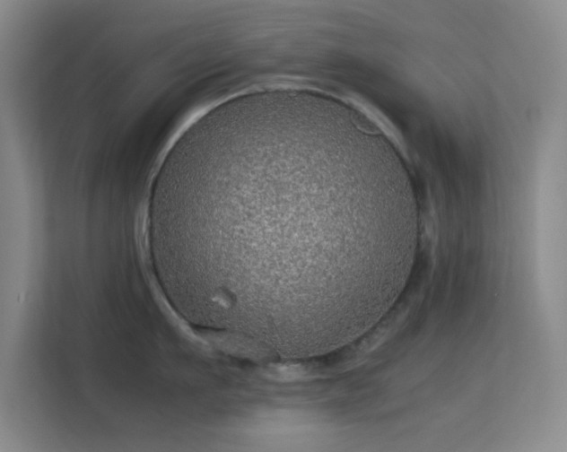 X0000113640911200909251238