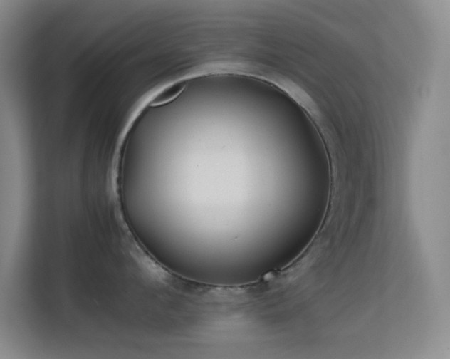 X0000113640912200909251238