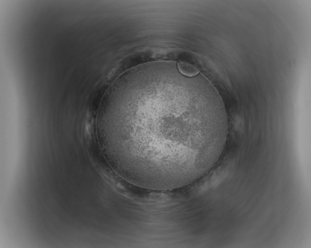 X0000113640914200909251237