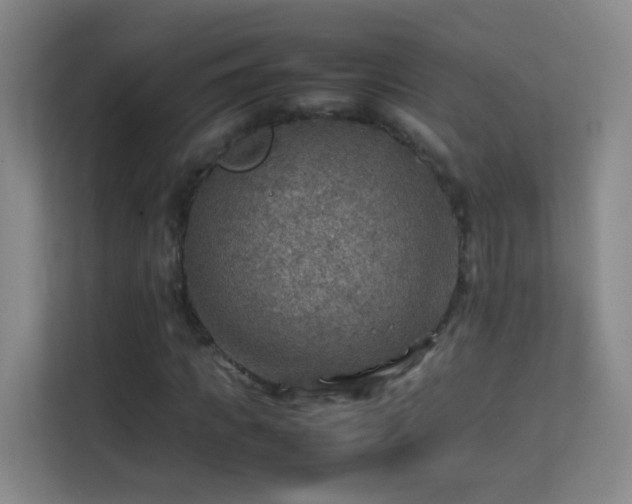 X0000113640917200909251238