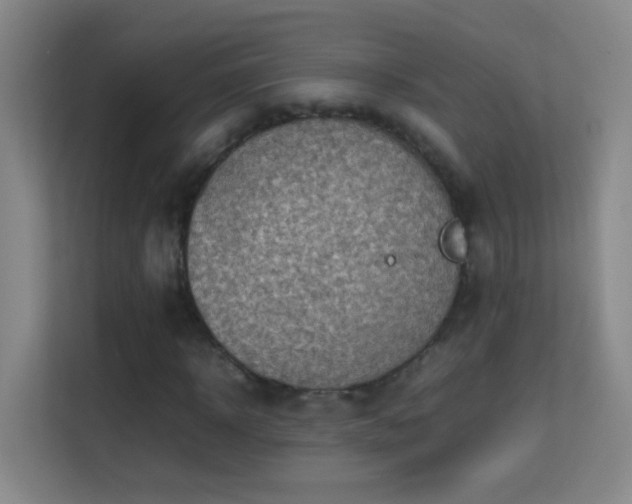 X0000113640918200909251238