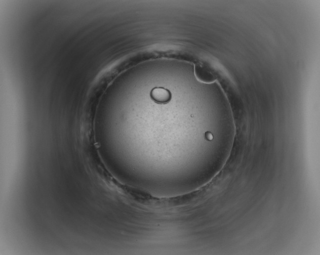 X0000113640920200909251238