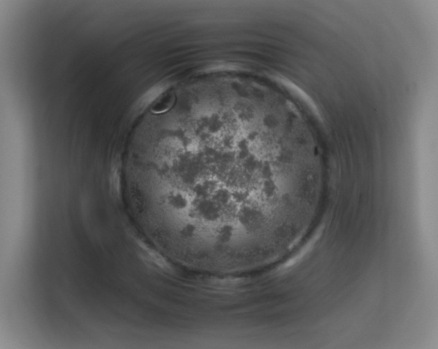 X0000113640921200909251238