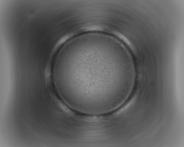 X0000113640922200909251238