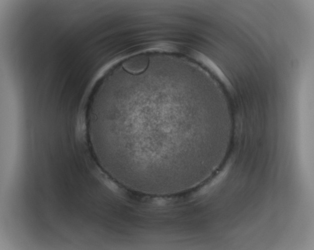 X0000113640923200909251238