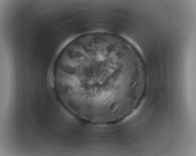 X0000113640925200909251238