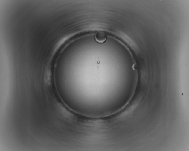 X0000113640926200909251238