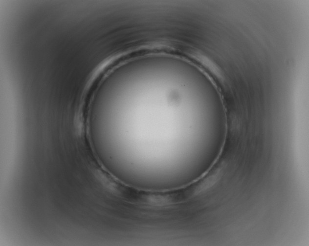 X0000113640927200909251238