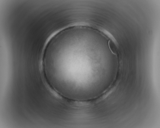 X0000113640928200909251238