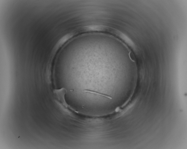 X0000113640930200909251238