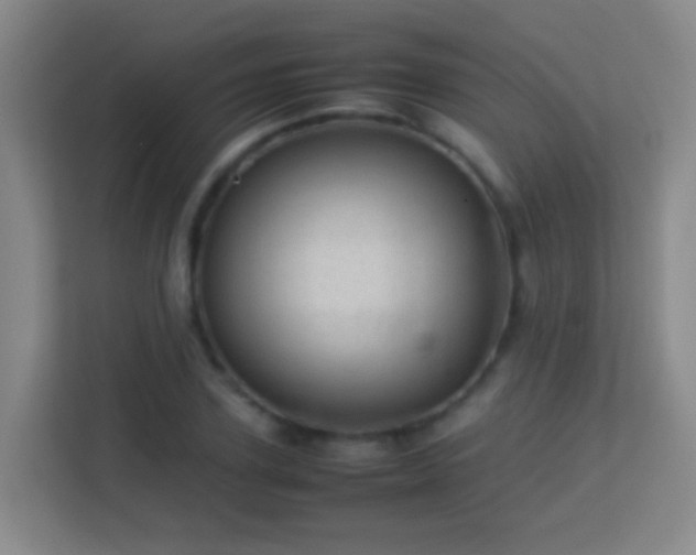 X0000113640931200909251238