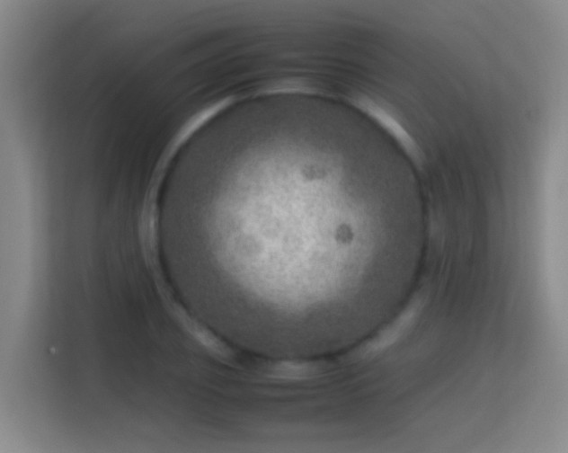 X0000113640933200909251238