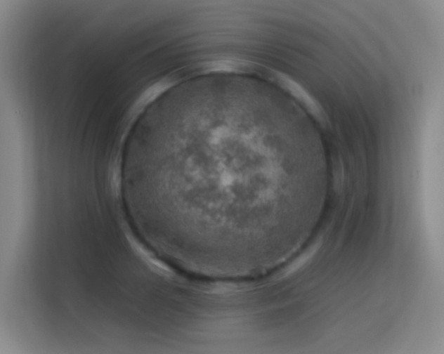 X0000113640938200909251238