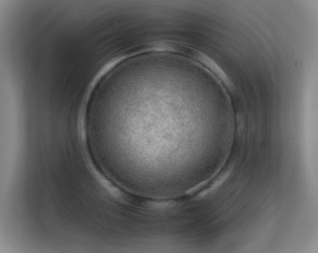 X0000113640939200909251238