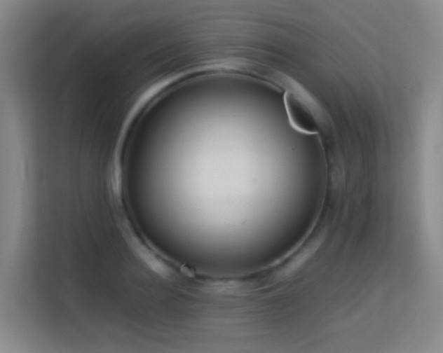 X0000113640940200909251238