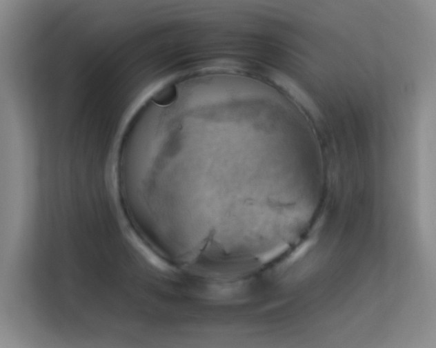 X0000113640941200909251238