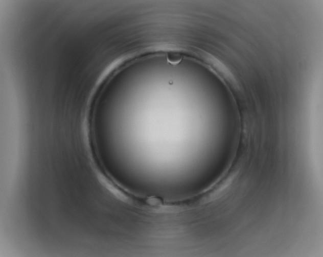 X0000113640942200909251238