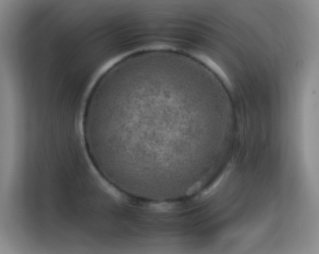 X0000113640943200909251238