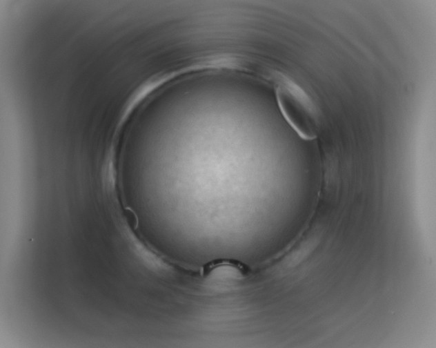 X0000113640944200909251238