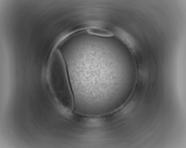 X0000113640948200909251238