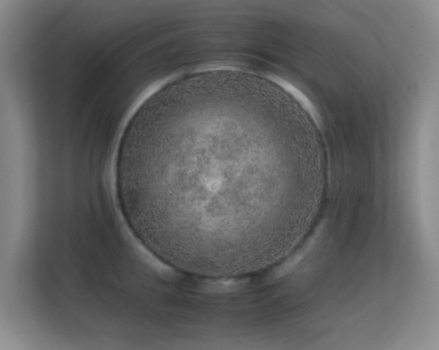 X0000113640949200909251238