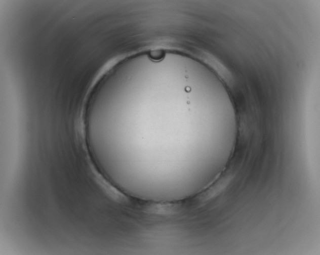 X0000113640950200909251238