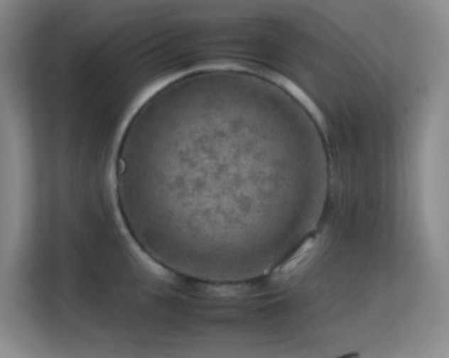 X0000113640951200909251238