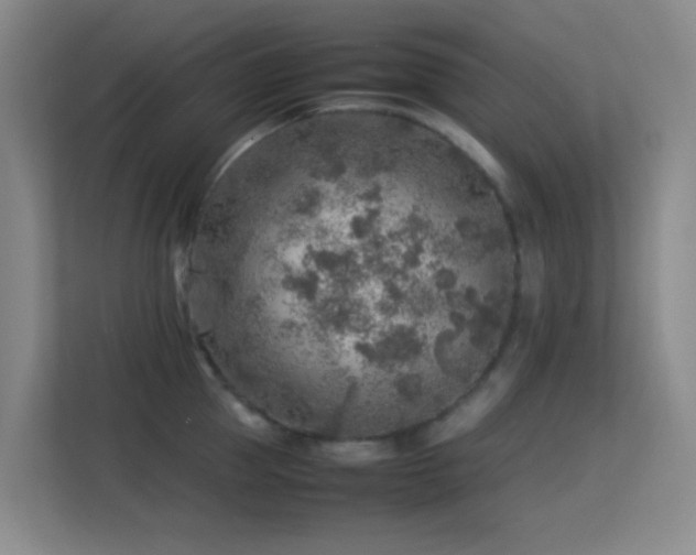 X0000113640953200909251238