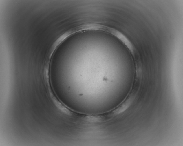 X0000113640954200909251238