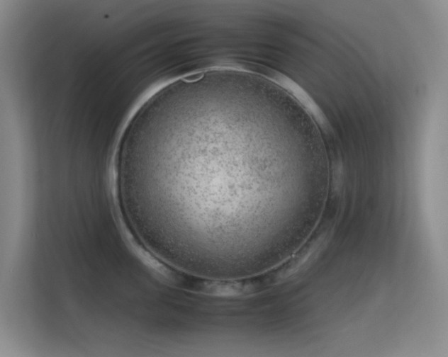 X0000113640955200909251238