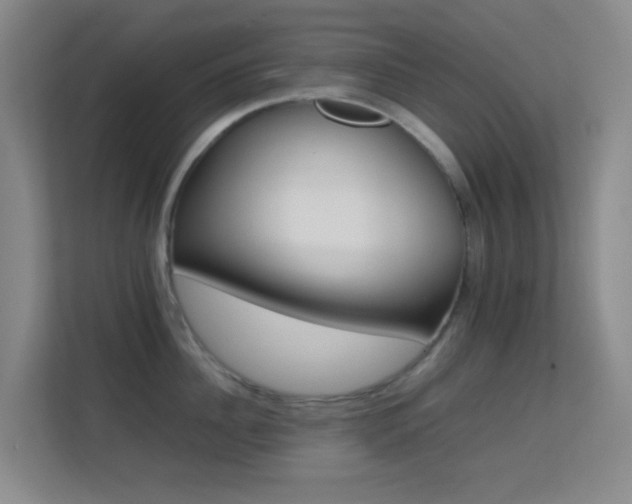 X0000113640956200909251238