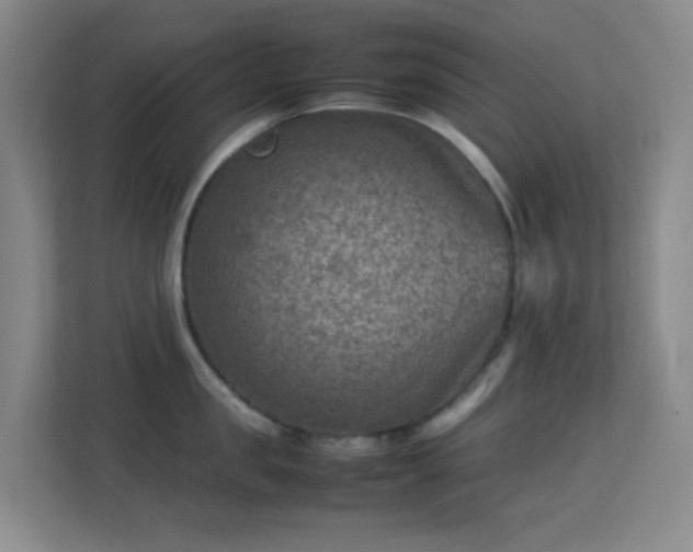 X0000113640957200909251238