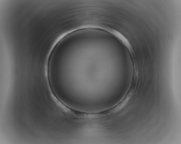 X0000113640958200909251238