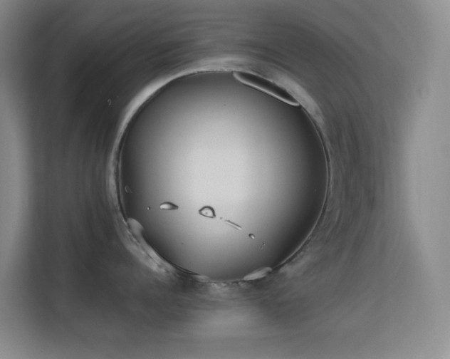 X0000113640960200909251238