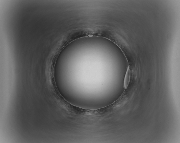 X0000113640961200909251237