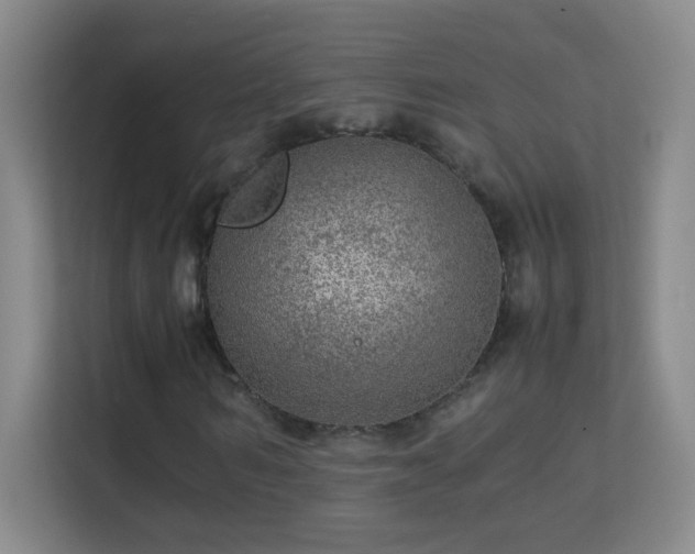 X0000113640962200909251237