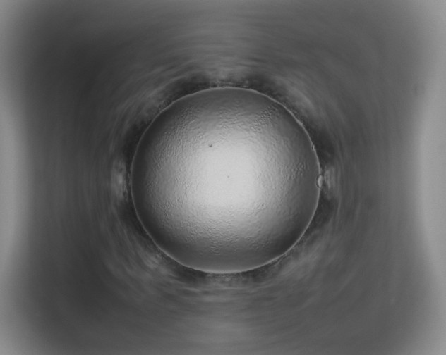 X0000113640963200909251237