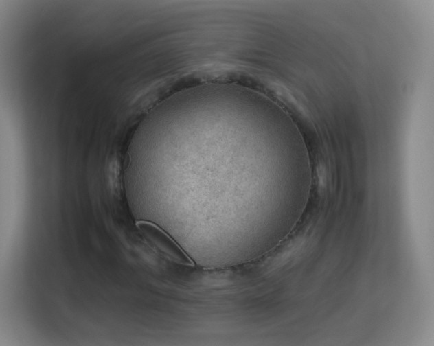 X0000113640964200909251237