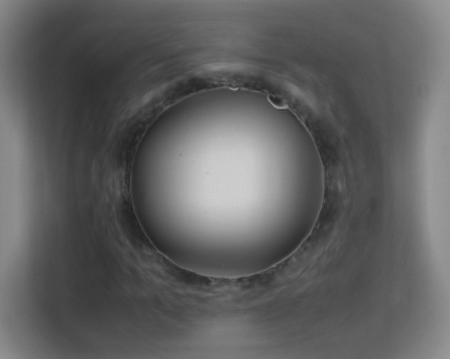 X0000113640965200909251237