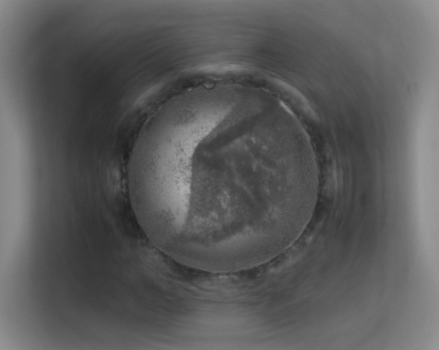 X0000113640966200909251237