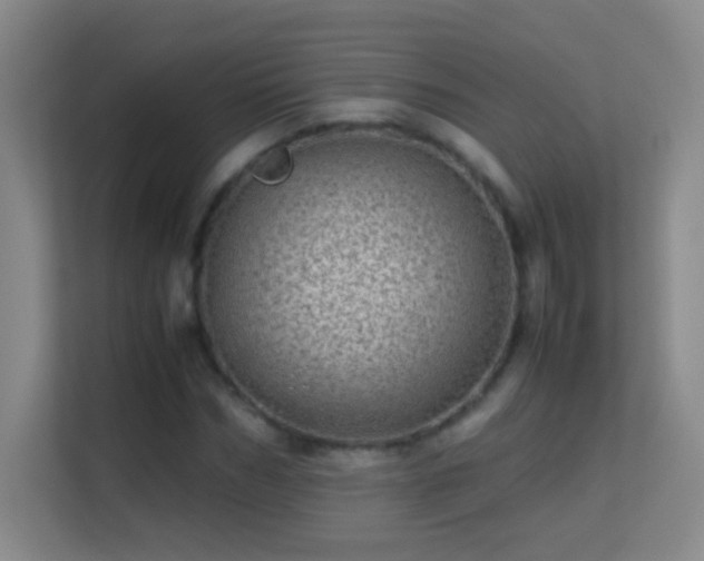 X0000113640970200909251237