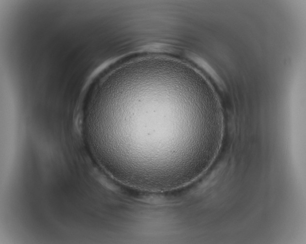 X0000113640971200909251237