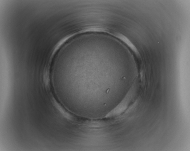 X0000113640972200909251237