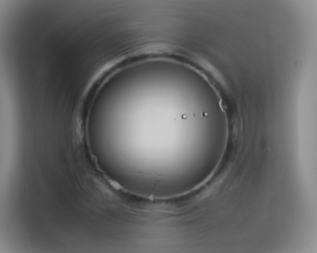 X0000113640973200909251237