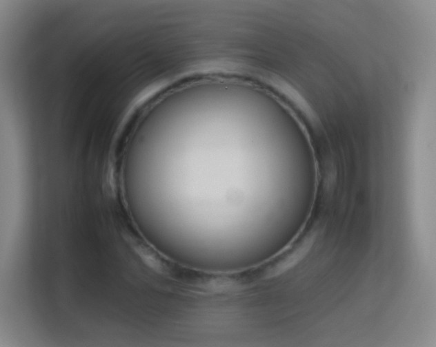 X0000113640974200909251237