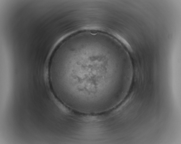 X0000113640976200909251237