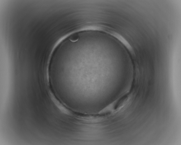 X0000113640980200909251237